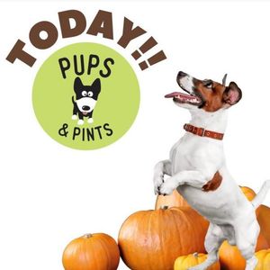 Image post by @LiveLikeRoo on Facebook