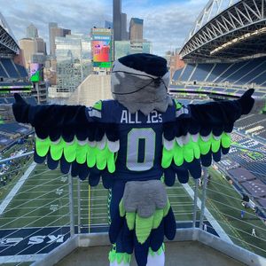 Image post by @blitztheseahawk on Instagram