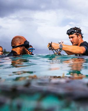 Image post by @wsloneocean on Instagram