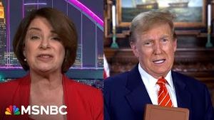 Video post by @msnbc on YouTube