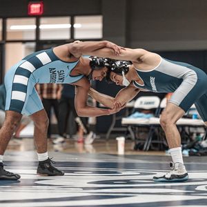 Image post by @saubees on Instagram