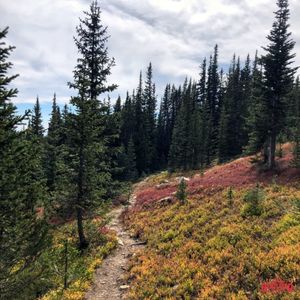 Image post by @bouldercanyon on Instagram