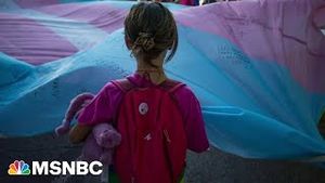 Video post by @msnbc on YouTube