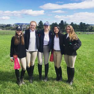 Image post by @appalachianequestrian on Instagram