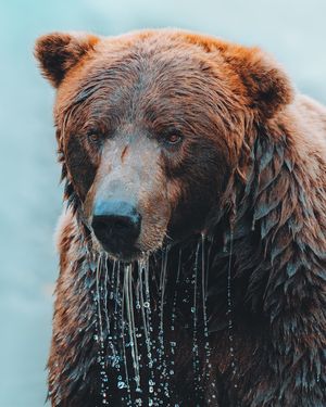 Image post by @sonyalpha on Instagram