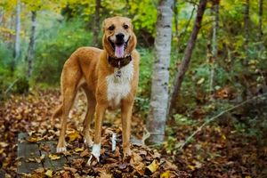 Image post by @jonathn_roberts on Instagram