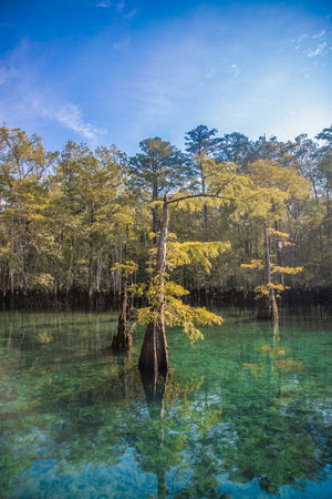 Image post by @southwalton on Instagram