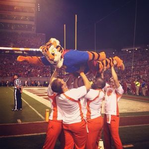Image post by @thetiger_cu on Instagram