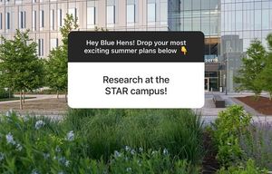 Image post by @udelaware on Instagram