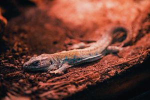 Image post by @biensphotography on Instagram