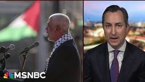 Video post by @msnbc on YouTube