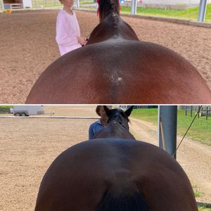 Image post by @ankehawke on Instagram