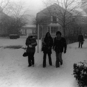 Image post by @hofstrau on Instagram