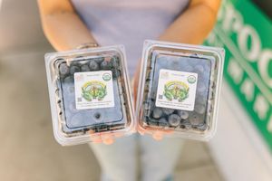 Image post by @grassroots5pts on Instagram