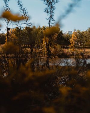 Image post by @kpearsonmedia on Instagram