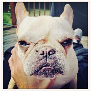 Image post by @grieves on Instagram