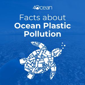 Image post by @4ocean on Instagram