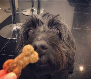 Image post by @yumove_usa on Instagram