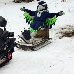 Image post by @blitztheseahawk on Instagram