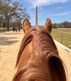 Image post by @nationalparkservice on Instagram