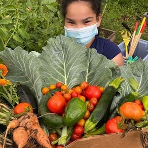 Image post by @kidsgardening on Instagram