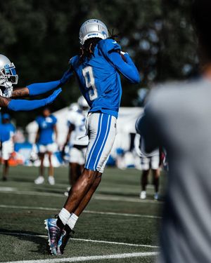Image post by @detroitlionsnfl on Instagram
