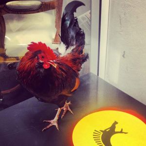 Image post by @havas on Instagram