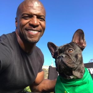 Image post by @animalplanet on Instagram