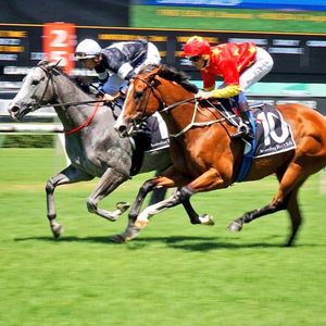 Image post by @australianturfclub on Instagram