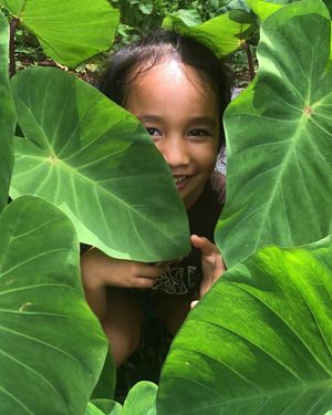 Image post by @kidsgardening on Instagram