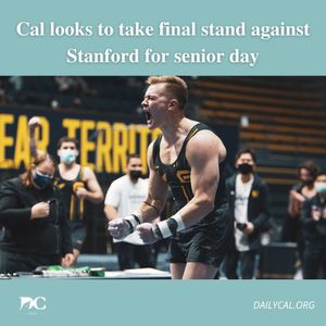 Image post by @dailycalsports on Instagram