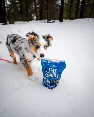 Image post by @triumphpetfood on Instagram