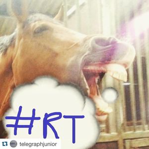 Image post by @davehorsey on Instagram