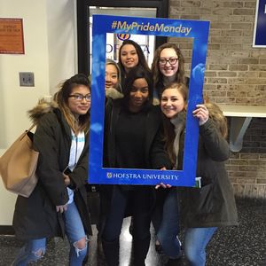 Image post by @hofstrau on Instagram