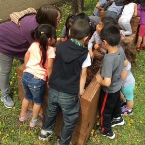 Image post by @kidsgardening on Instagram
