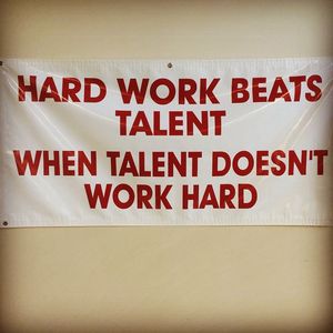 Image post by @terrierswimdive on Instagram