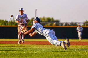 Image post by @ariannagrainey on Instagram