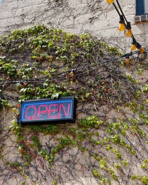 Image post by @terzompls on Instagram