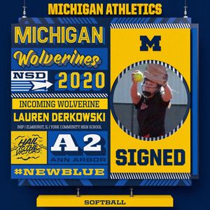 Image post by @umichsoftball on Instagram