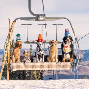 Image post by @aspensnowmass on Instagram