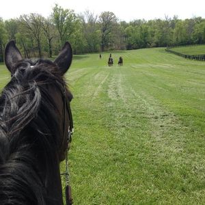 Image post by @margaux.farm on Instagram