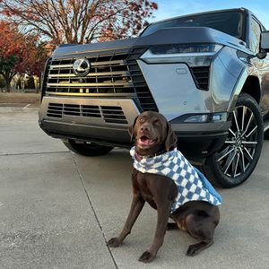 Image post by @lexususa on Instagram