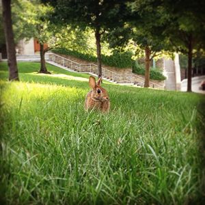 Image post by @loyolamaryland on Instagram