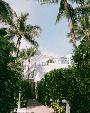 Image post by @wsouthbeach on Instagram
