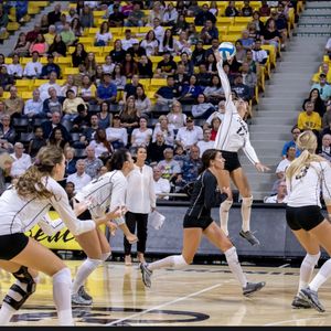 Image post by @lbsuwvb on Instagram