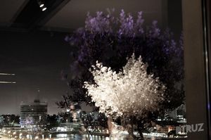 Image post by @hotelmadero on Instagram