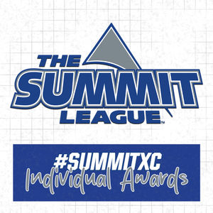 Image post by @thesummitleague on Instagram