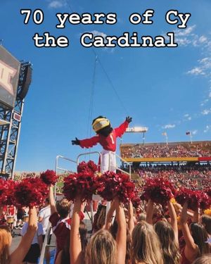 Image post by @themascotcy on Instagram