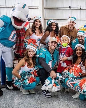 Image post by @dolphinscheer on Instagram