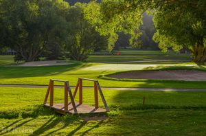 Image post by @pga on Instagram